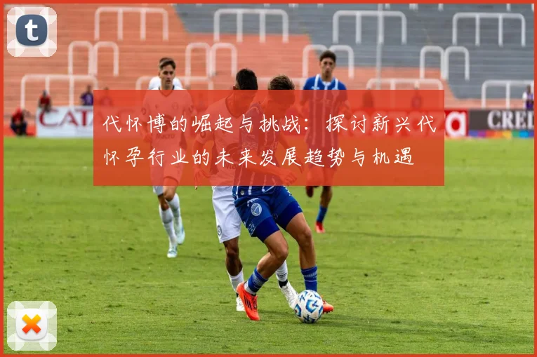 代怀博的崛起与挑战：探讨新兴代怀孕行业的未来发展趋势与机遇