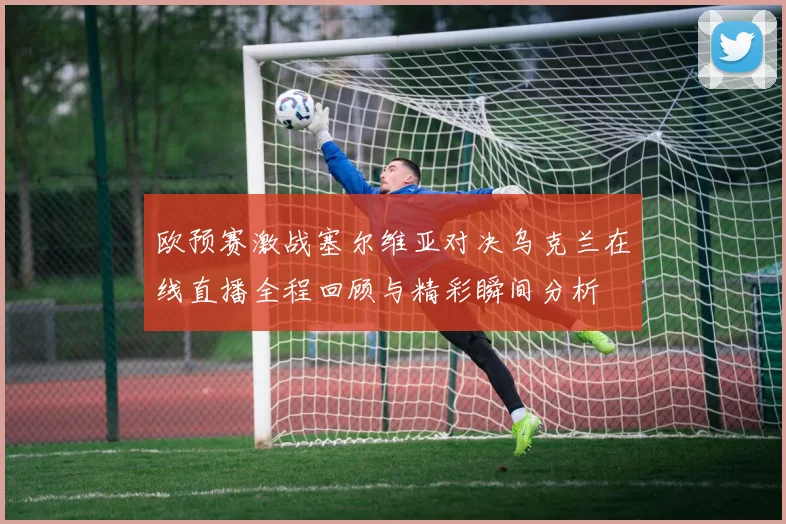 欧预赛激战塞尔维亚对决乌克兰在线直播全程回顾与精彩瞬间分析