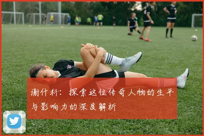 谢什科：探索这位传奇人物的生平与影响力的深度解析