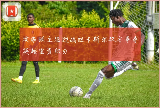 埃弗顿主场迎战纽卡斯尔双方争夺英超宝贵积分