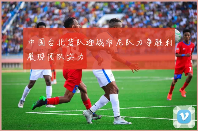 中国台北蓝队迎战印尼队力争胜利展现团队实力